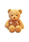 Turki Teddy Ayı Plush Toy Renkli Pillow 50cm Bej Papyon