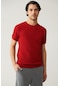 Avva Erkek Kırmızı Bisiklet Yaka Dokulu Triko T-shirt E005027