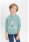 Defacto Erkek Çocuk Regular Fit Kapüşonlu Sweatshirt B7101a824spgn1190