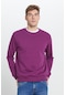 AC&Co / Altınyıldız Classics Erkek Koyu Mor Standart Fit Normal Kesim Bisiklet Yaka Pamuklu  Sweatshirt