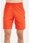 Maraton Active Slimfit Erkek Koşu Turuncu Şort 18394-turuncu