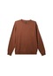 Quiksilver Aqyft03331-cnw0 Salt Water Crew Erkek Sweatshirt renkli