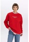 Defacto Relax Fit Bisiklet Yaka Kalın Sweatshirt B6589AX23WNRD79