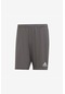 Adidas Entrada 22 Short H57505 Gri Erkek Futbol Şortu Gri