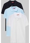 Ds Damat Regular Fit Lacivert/açık Mavi/beyaz Pike Dokulu %100 Pamuk Polo Yaka T-shirt 6hc14ortbn510