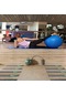 Fitness-yoga Salonu Duvar Kağıdı