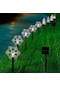 Bahçe Dekoru İçin 5-led Güneş Enerjili Işık Peyzaj Işığı Beyaz Light Snowlake