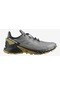 Salomon Supercross 4 Gtx Erkek Outdoor Ayakkabı L47317200-pewter/black/cress Green