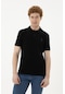 U.s. Polo Assn. Erkek Siyah Tişört Basic 50279613-vr046