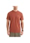 Columbıa Cs0282 Csc M Basıc Sm Logo Brushed Ss Tee Erkek Kahverengi 001