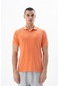 Arma Erkek Regular Fit Parça Boyama Polo Yaka Tişört Y25374490401 001
