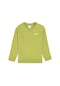 U.s. Polo Assn. Erkek Çocuk Fıstık Sweatshirt 50295151-vr087 Fıstık Fıstık Yeşili