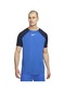 Nike Dh9225-463 M Nk Df Acdpr Ss Top K Erkek T-shirt 001