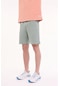 Lumberjack Mb Ct103 Pam Short 5fx Pastel Hakı Erkek Şort 000000000101939487 Haki