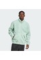Hazgrn Adidas Erkek Günlük Sweatshirt P Ess Fz Iy2253