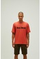 Bad Bear Title Erkek T-shirt Tarçın