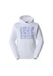 The North Face M Ss24 Coordınates Hoodıe Erkek Sweat Shirt Nf0A87Eafn41 001
