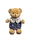 Turki Teddy Ayı Plush Toy Renkli Pillow 40cm Deniz Yosunu Çift Ayı Kadın