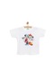 Disney 24y Minnie Mouse Tshirt Kız Bebek 24ydısktst003 Beyaz 24YDISKTST003_Beyaz