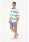 U.s. Polo Assn. Erkek Lacivert Şort / Bermuda 50289423-vr033 Lacivert