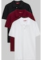 Ds Damat Regular Fit Siyah/bordo/beyaz Pike Dokulu %100 Pamuk Polo Yaka T-shirt 6hc14ortbn510