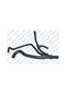 İbraş Radyator Alt Hortumu Megane I / Scenıc I 1.9dcı. DV00-IBRAS 11545