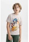 Defacto Erkek Çocuk Sonic The Hedgehog Bisiklet Yaka Kısa Kollu Tişört C4261a824smbg186