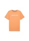 Puma Amg Logo Tee Erkek T-shirt-pudra