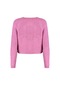 Kadın Moda Şık Crop Bisiklet Yaka Regular Yumuşak Dokulu Ajurlu Delikli Triko Hırka Pembe