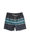 Billabong All Day Stripes Lb Erkek Şort C1lb02-19 Siyah-siyah