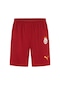 Puma Galatasaray S.k. 24/25 Erkek İç Saha Futbol Şortu 779674 01