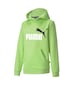Puma Essentials 2 Col Fleece Erkek Çocuk Yeşil Kapüşonlu Sweatshirt