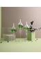 Glassic Serenity Yeşil Cam Kandil 3 Adet Cam Kandil - 400 Ml Kandil Yağı + 3 Adet Kandil Fitili