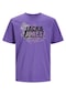 Jack & Jones Erkek T Shirt 12252376 Lavanta