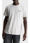 Calvin Klein Erkek T Shirt J30j325186 Pc8 Açık Gri
