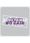No Pain No Gain Hologram Sticker Mor