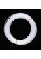 Homyl 30m Naylon Monofilament Hattı Sazan Pike Alabalık 1.8mm