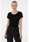 U.s. Polo Assn. Kadın Siyah Tişört Basic 50297915-vr046 Siyah