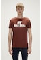 Bad Bear Bear Tee T-shirt Woody Kahverengi Logo Baskılı Erkek Tişört-kahverengi Kahverengi