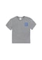 U.s. Polo Assn. Erkek Çocuk Gri Melanj Tişört Basic 50295447-vr086 Gri Melanj