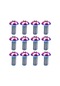 Moveevo T25 Torx Başlı M5x10 Titan Çivi Seti Gökkuşağı Rengi - Fren Diski/water Bottle Kafesi İçin 12 Adet Gümüş