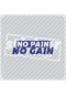 No Pain No Gain Hologram Sticker Parlament Mavi