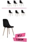 Mutfak Sandalyesi / Yemek Sandalyesi / Sandalye Takımı / 6 Kişilik / Flora Axen Siyah