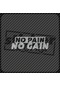 No Pain No Gain Hologram Sticker Gümüş Gri