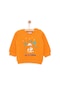 Hellobaby Basic Az Şardonlu Kamp Temalı Sweatshirt Erkek Bebek 24khlbeswt019 Turuncu Turuncu
