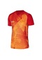 Nike Dr0944 M Nk Df Prcsn Vı Jsy Ss Kırmızı