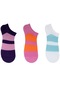The Socks Company Patik Desenli Çok Renkli Kadın 3'lü Çorap 23sdcr168p