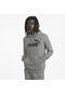 Puma 58668803 Ess Big Logo Erkek Sweatshirt renkli
