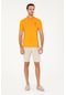 U.s. Polo Assn. Erkek Taş Şort / Bermuda 50289423-vr049 Taş