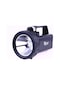 Güvenlik Feneri 30 W Kuvvetinde  Wt-401
